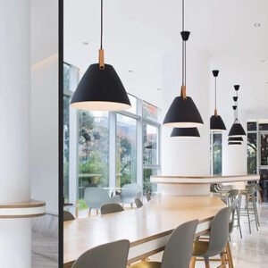 Pendant Light