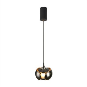 Can lift pendant lamp